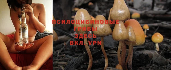 MESCALINE Арсеньев