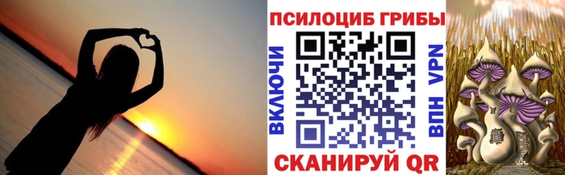 Галлюциногенные грибы прущие грибы Углич