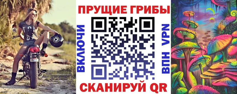 МЕГА ССЫЛКА  Углич  Псилоцибиновые грибы MAGIC MUSHROOMS 